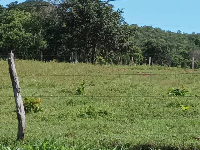 #12 - Chácara para Venda em Cuiabá - MT - 3
