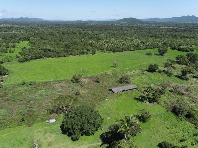 #13 - Fazenda para Venda em Cuiabá - MT - 1