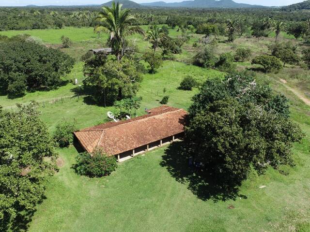 #13 - Fazenda para Venda em Cuiabá - MT - 3
